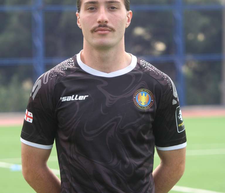 გიორგი დ. ცეცხლაძე